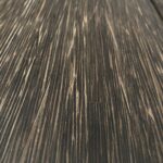PALMERA NEGRA